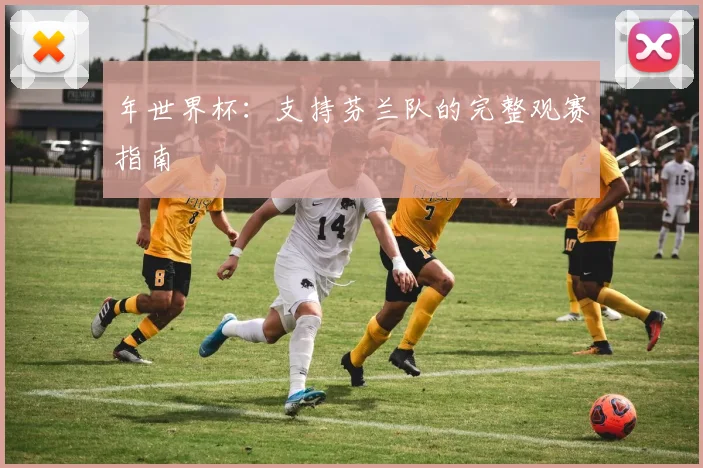 年世界杯：支持芬兰队的完整观赛指南