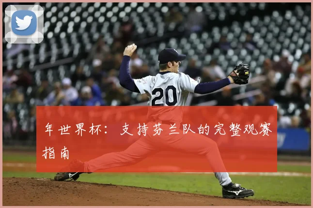 年世界杯:支持芬兰队的完整观赛指南